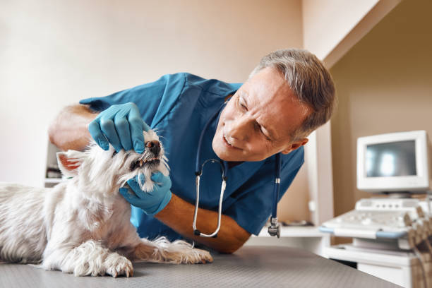 Best Weekend Emergency Dentist in Marinette, WI